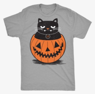 Black Cat - Pumpkin #9398138