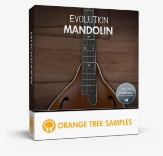 Orange Tree Samples - Orange Tree Samples Evolution Mandolin #9399284