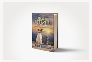 A Bestseller On Amazon And Radio Show With Host Jim - Flyer #9399404