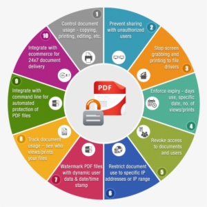 Stop Document Leaks With Enterprise Drm - Drm Infographic #940057