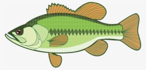 Largemouth Bass White Bass Smallmouth Bass Bass Fishing - Largemouth Bass Clipart #940327