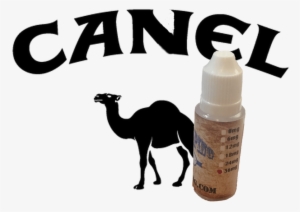 Canel Ejuice - Camel #940403 Canel Ejuice - Camel #940403
