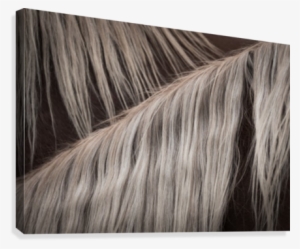 Jolie Blonde Canvas Print - Lace Wig #940614