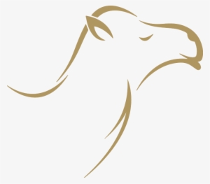 We Keep A Close Eye On Our Camels And Have A Strict - Camel Head Logo Png #940685