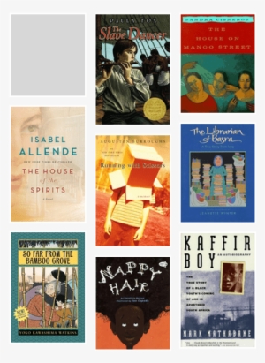 Banned And Challenged Books - Kaffir Boy - Class Set #940837