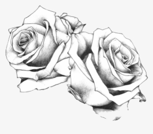 Tattoo Drawing Art Rose Flash - Bundle Of Roses Drawing #941196