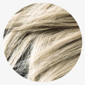 Ash Blonde - Blond #941198