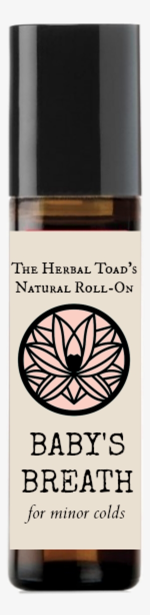 Baby's Breath #941420 Baby's Breath #941420