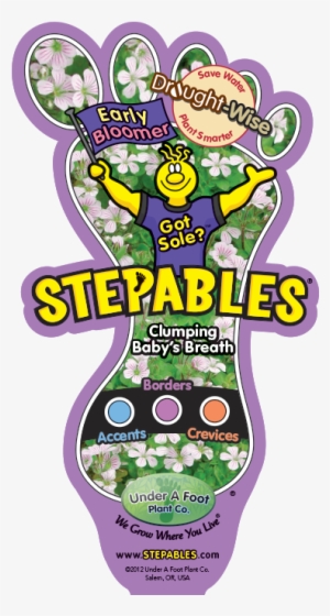 This Plant Is Featured In These Programs - Plant Gold Moneywort #941649