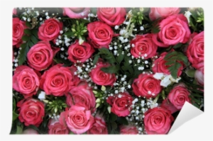 Pink Roses And Gypsophila Wall Mural • Pixers® • We - Baby's-breath #941824