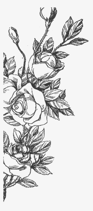 ~elegance~ - Anime #942363