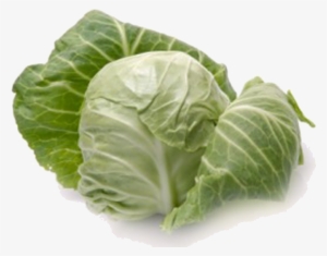 Cabbage Png - Cabbage Definition #942385