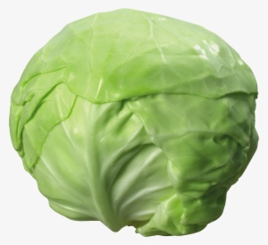 Cabbage Png #942406