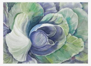 Unfolding V - Wild Cabbage #942442