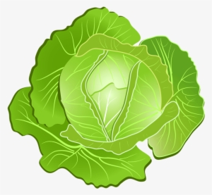 Repolho Scrapbook Images, Fruits And Vegetables, Views - Clip Art #942488