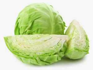 Cabbage Transparent Background Png #942489