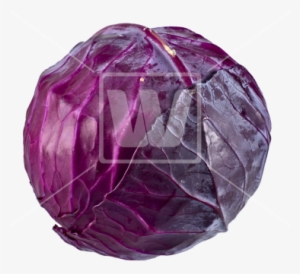 Red Cabbage Png - Red Cabbage #942607