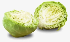 White Ornamental Cabbage Png Jpg Royalty Free - Sauerkraut Png #942666