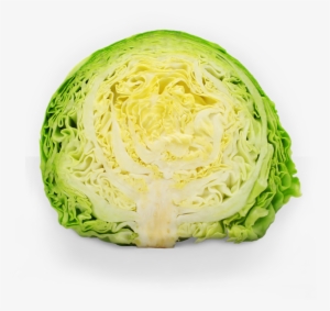 Lettuce Clipart Sauerkraut - Cabbage - Free Transparent PNG Download ...