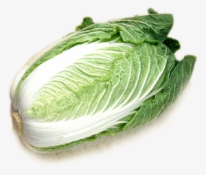 Cabbage Png Icon - Chinese Cabbage Transparent Background #942735