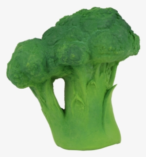 Broccoli Teether - Oli & Carol Oli & Carol Bijt- #942756
