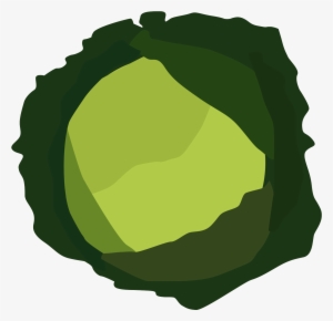 Cabbage Vector Cabage - Cabbage Png Vector #943184