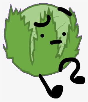 Cabbage-bfdi2 - Wiki - Free Transparent PNG Download - PNGkey