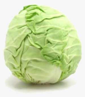 Cabbage Png Image Background - Difference In The Leafy Romaine And Romaine Hearts #943601