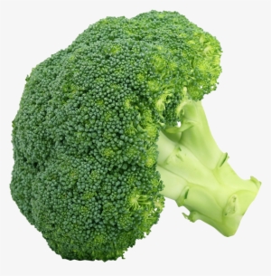 Broccoli Png Clipart Png Mart - Broccoli Png #943798