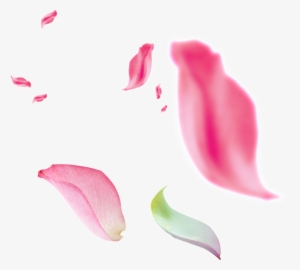 This Graphics Is Beautiful Floating Pink Petals Transparent - Petalos Rosa Png #945109