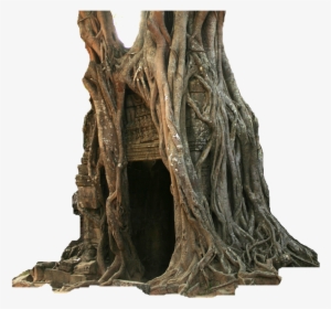 Old Hollow Tree - Ta Som #945110