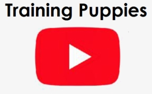 Play Video - Samsung Gt S7070 #945161