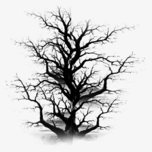 Dead Tree Clipart Old #945508