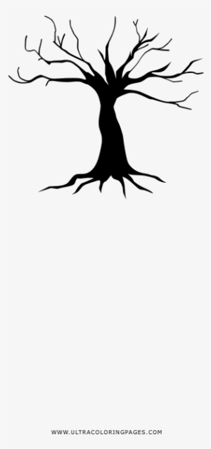 Old Tree Coloring Page - Silhouette #945683