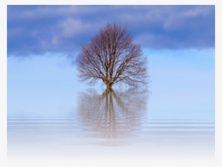 Tree,scrawny Tree,big Tree - Natur In Schwarzweiss Mauspad #945766