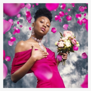 Rose Petal Overlay Example Image - Artificial Flower #945944