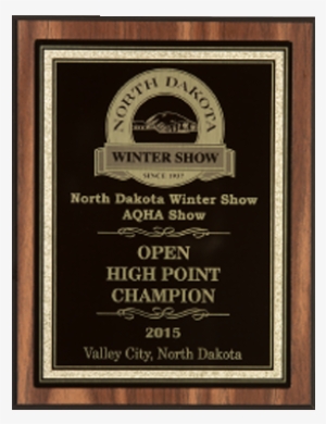 6" X 8" Black Metal Plate With Gold Border On A 7" - Sports #947589