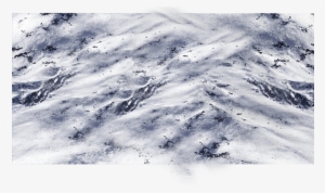 06 Feb 2009 - Snow #947664