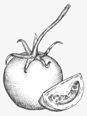 Tomato Linedrawing - Portable Network Graphics #947810