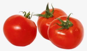 Tomato Png Transparent Images - Tomato Png #947836