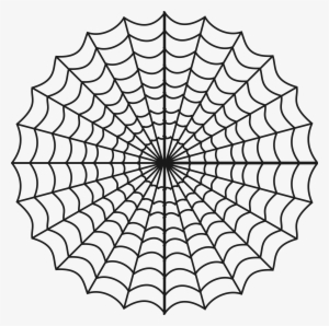 Png Freeuse Stock Spiders Big Image Png - Spider Web Vector Png #947939