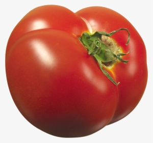 Tomato Png Images Free Download Jpg Transparent Stock - Tomato #948184