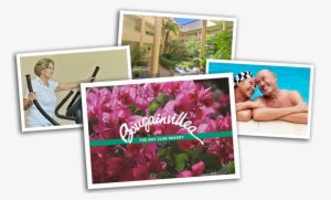 Bougainvillea Retirement Village Neutral Bay Sydney - Neutral Bay #948505