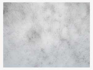 Grass In Snow, Web - World Wide Web #948579