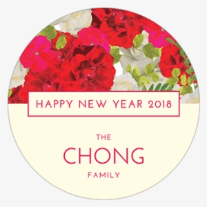 Bougainvillea #948662