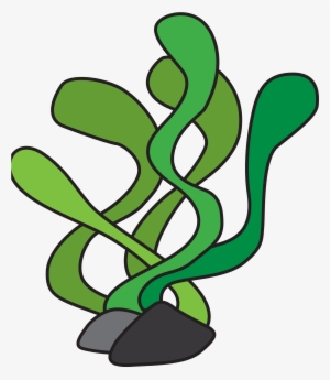 Free Fish Seaweed Cliparts, Download Free Clip Art, - Underwater Plant Clipart #948945