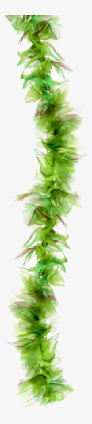 Seaweed Boa " Name="og Description - Seaweed Boa #949014