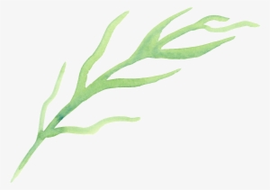 This Graphics Is Cartoon Transparent For Origami Seaweed - Portable Network Graphics #949071 This Graphics Is Cartoon Transparent For Origami Seaweed - Portable Network Graphics #949071