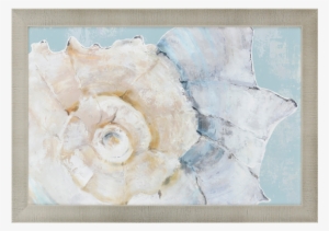 Pastel Shell I - Wood #949160