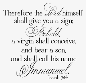 December - Hair Design #949249 December - Hair Design #949249